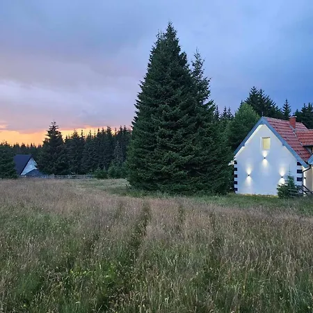 - Golija * Novi Pazar