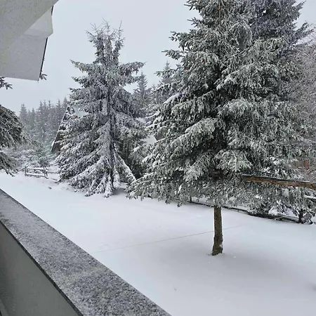 Ferienhaus - Golija Novi Pazar