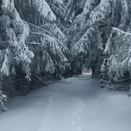 Ferienhaus - Golija Novi Pazar