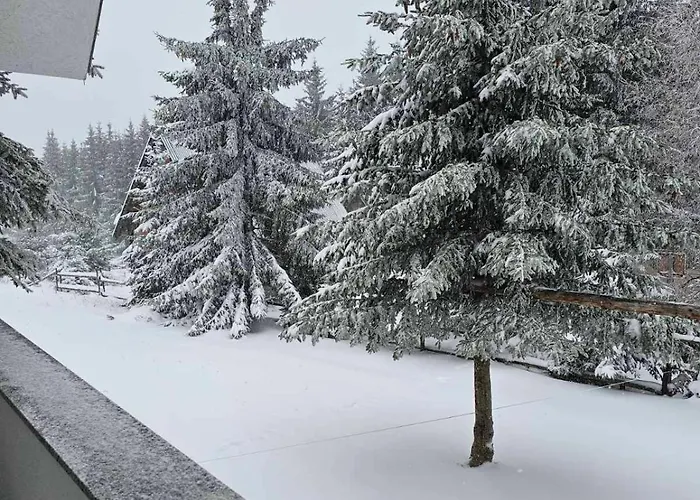 Hébergement de vacances - Golija Novi Pazar