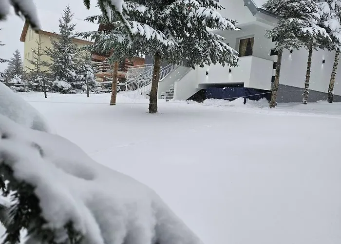 - Golija * Novi Pazar