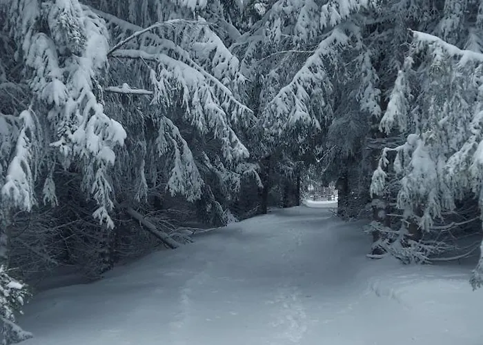 Hébergement de vacances - Golija Novi Pazar