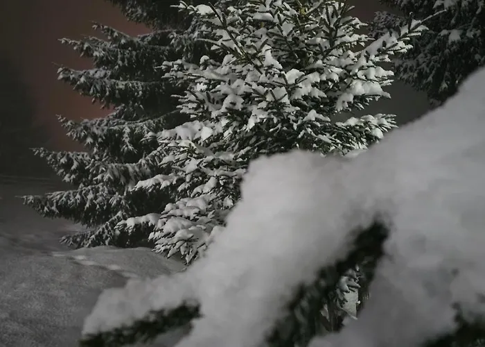 - Golija Hébergement de vacances